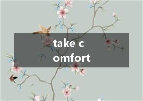 take comfort是什么意思