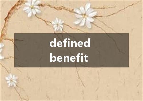 defined benefit是什么意思