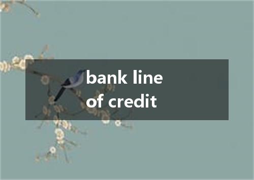 bank line of credit是什么意思