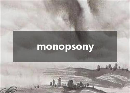 monopsony是什么意思