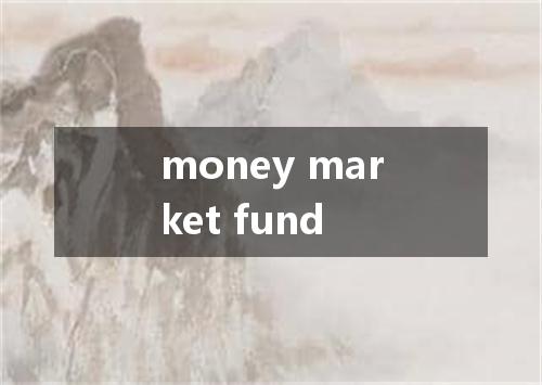 money market fund是什么意思