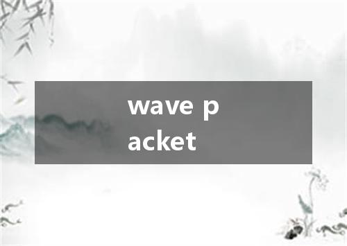 wave packet是什么意思