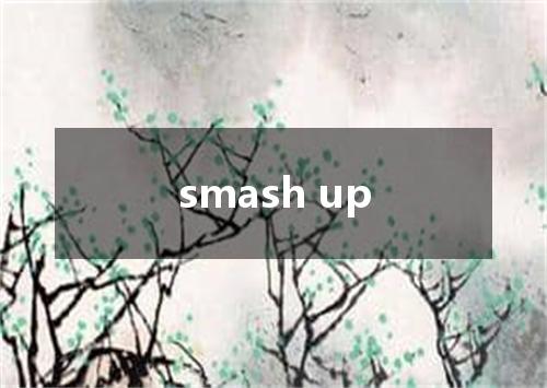 smash up是什么意思