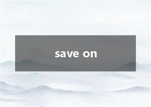 save on是什么意思