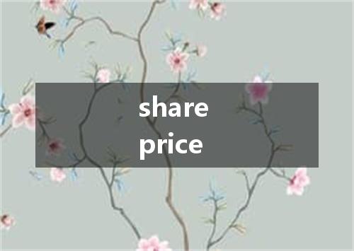 share price是什么意思