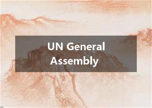 UN General Assembly是什么意思