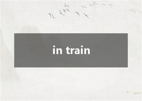 in train是什么意思
