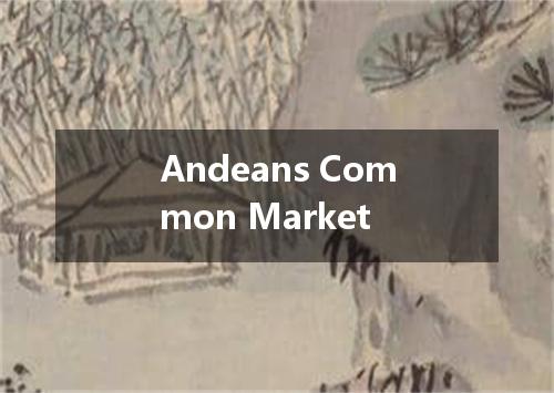 Andeans Common Market是什么意思