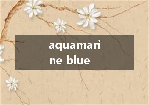 aquamarine blue是什么意思