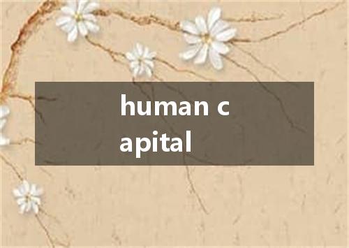 human capital是什么意思