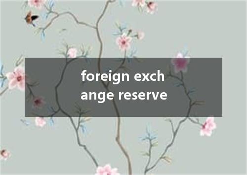foreign exchange reserve是什么意思