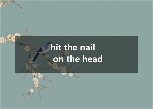 hit the nail on the head是什么意思