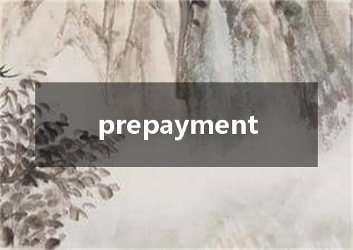 prepayment是什么意思