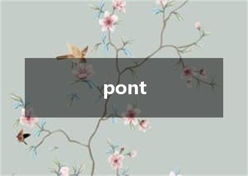 pont是什么意思