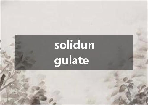solidungulate是什么意思