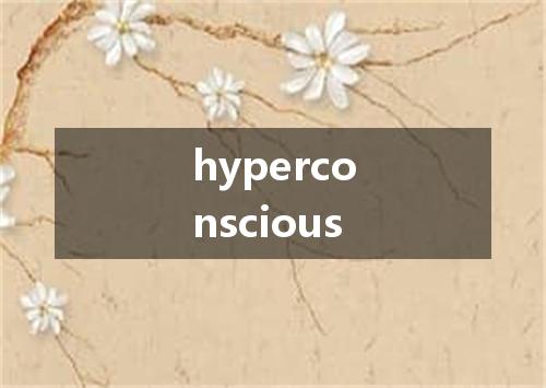hyperconscious是什么意思
