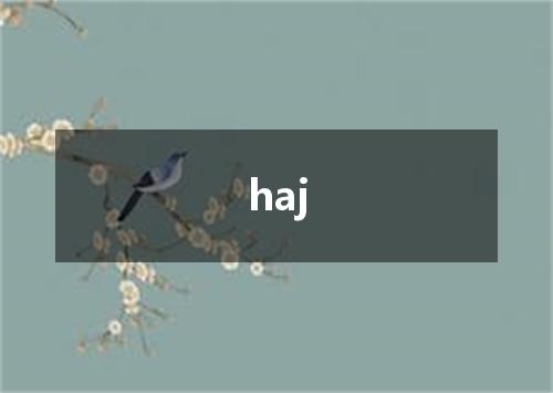 haj是什么意思