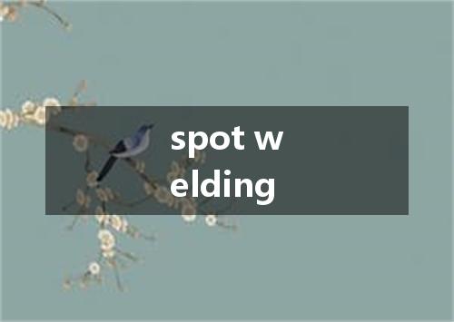 spot welding是什么意思