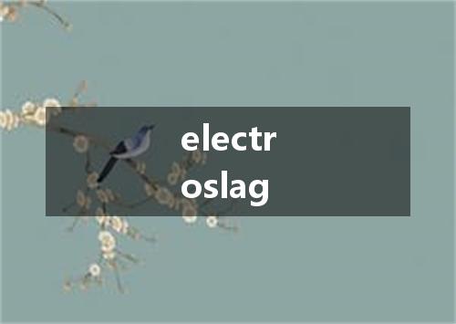 electroslag是什么意思