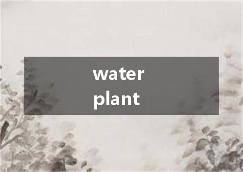 water plant是什么意思