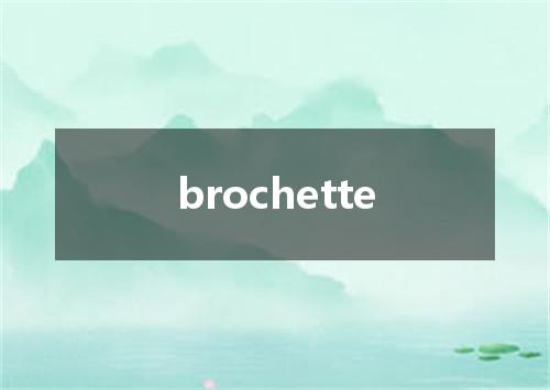 brochette是什么意思