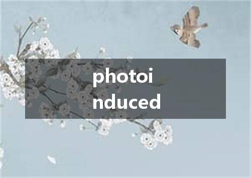 photoinduced是什么意思