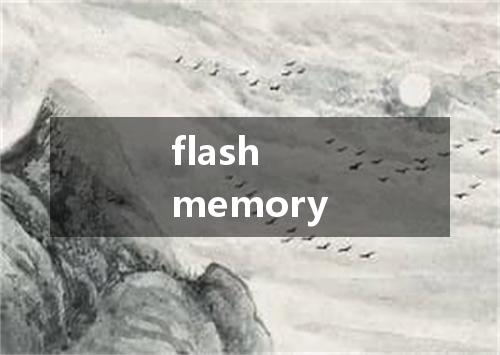 flash memory是什么意思