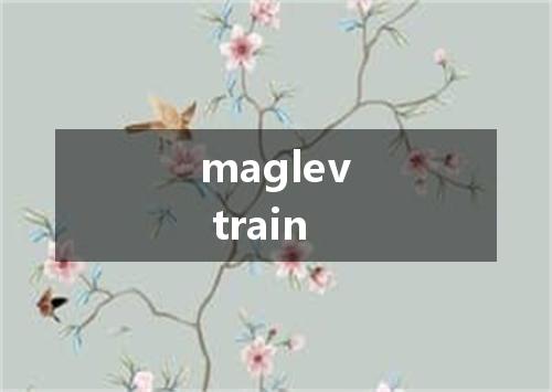 maglev train是什么意思
