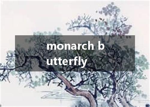 monarch butterfly是什么意思