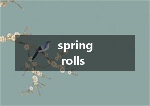 spring rolls是什么意思