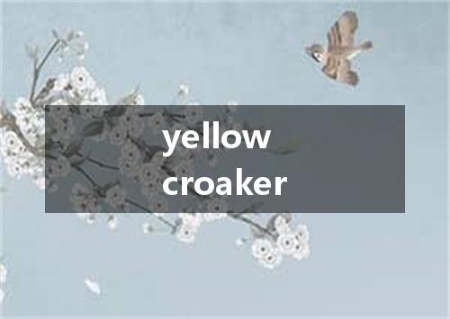 yellow croaker是什么意思