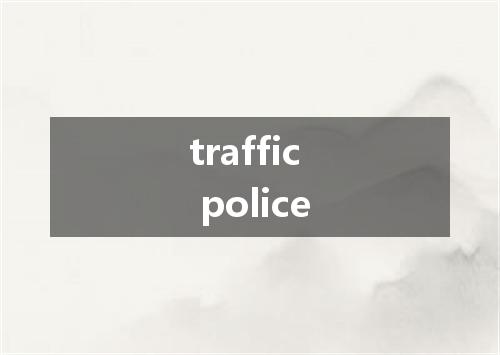 traffic police是什么意思