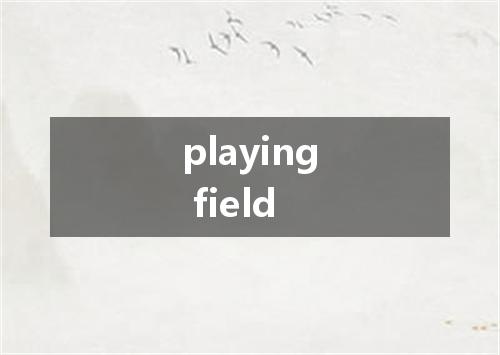 playing field是什么意思