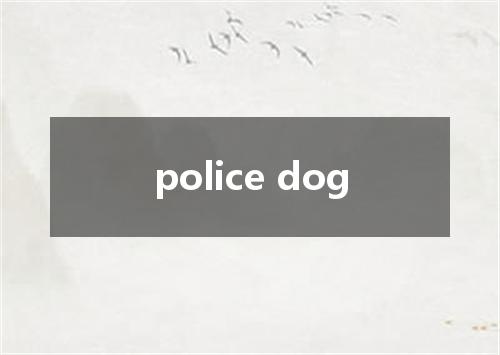 police dog是什么意思