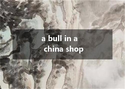 a bull in a china shop是什么意思