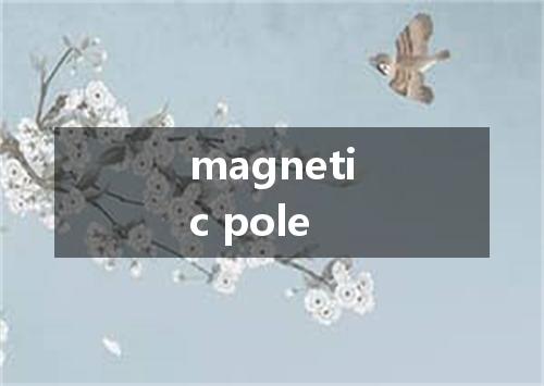 magnetic pole是什么意思