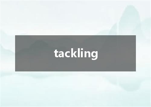 tackling是什么意思