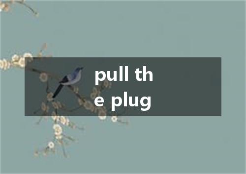 pull the plug是什么意思