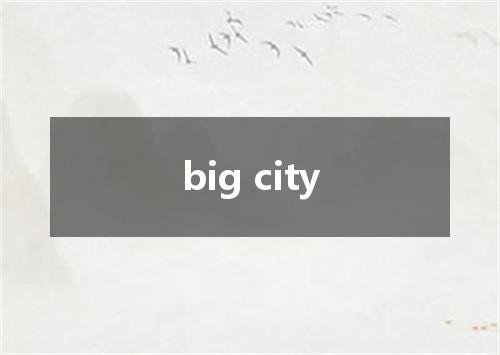 big city是什么意思