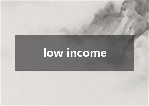 low income是什么意思