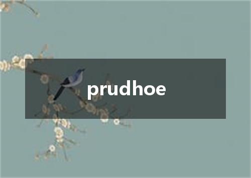 prudhoe是什么意思