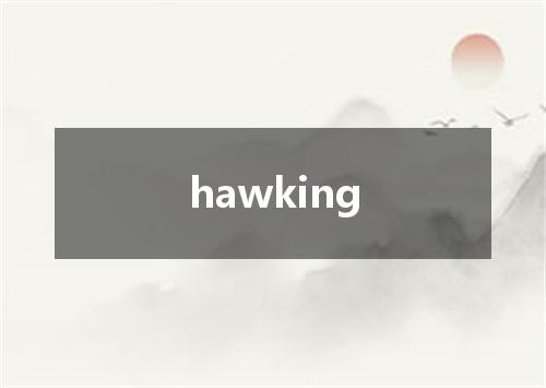 hawking是什么意思