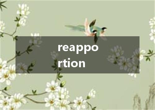 reapportion是什么意思