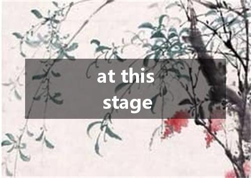 at this stage是什么意思