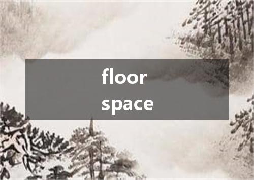 floor space是什么意思