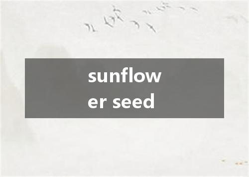 sunflower seed是什么意思
