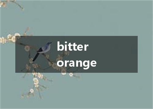 bitter orange是什么意思