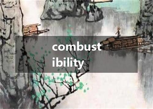 combustibility是什么意思