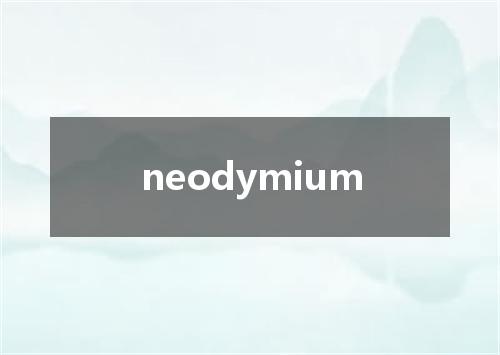 neodymium是什么意思