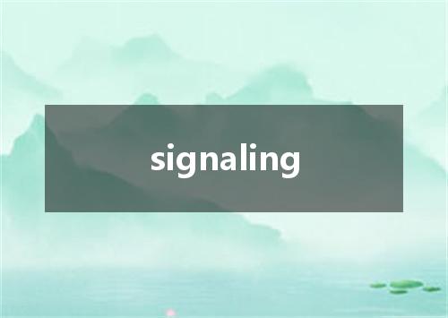 signaling是什么意思